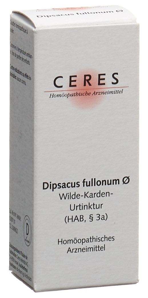 CERES Dipsacus fullonum Urtinkt Fl 20 ml