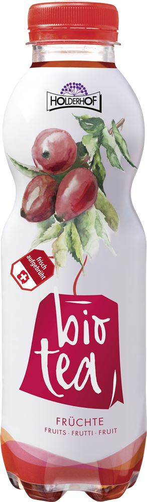 HOLDERHOF Ice Tea Früchte Bio Pet 5 dl