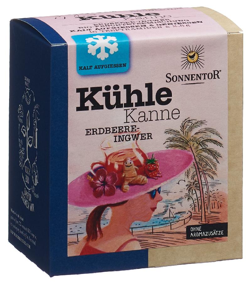 SONNENTOR Kühle Kanne Teepyr Erdb-Ingw BIO 16 Stk