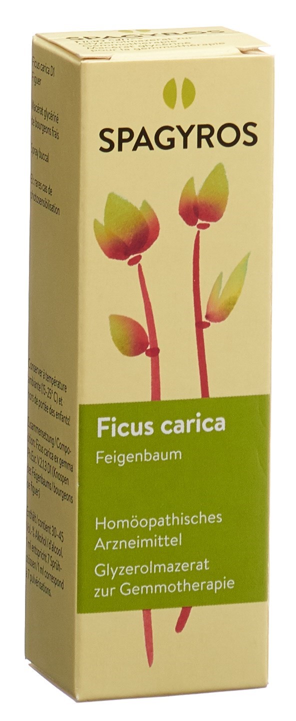 SPAGYROS GEMMO Ficus carica Glyc Maz D 1 30 ml