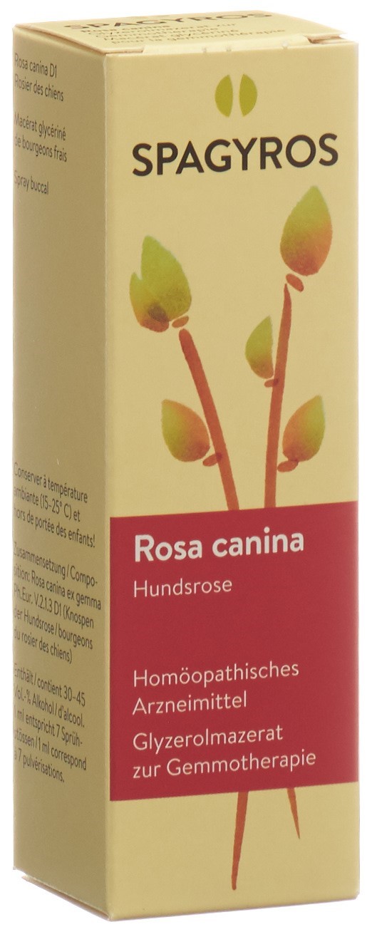 SPAGYROS GEMMO Rosa canina Glyc Maz D 1 30 ml
