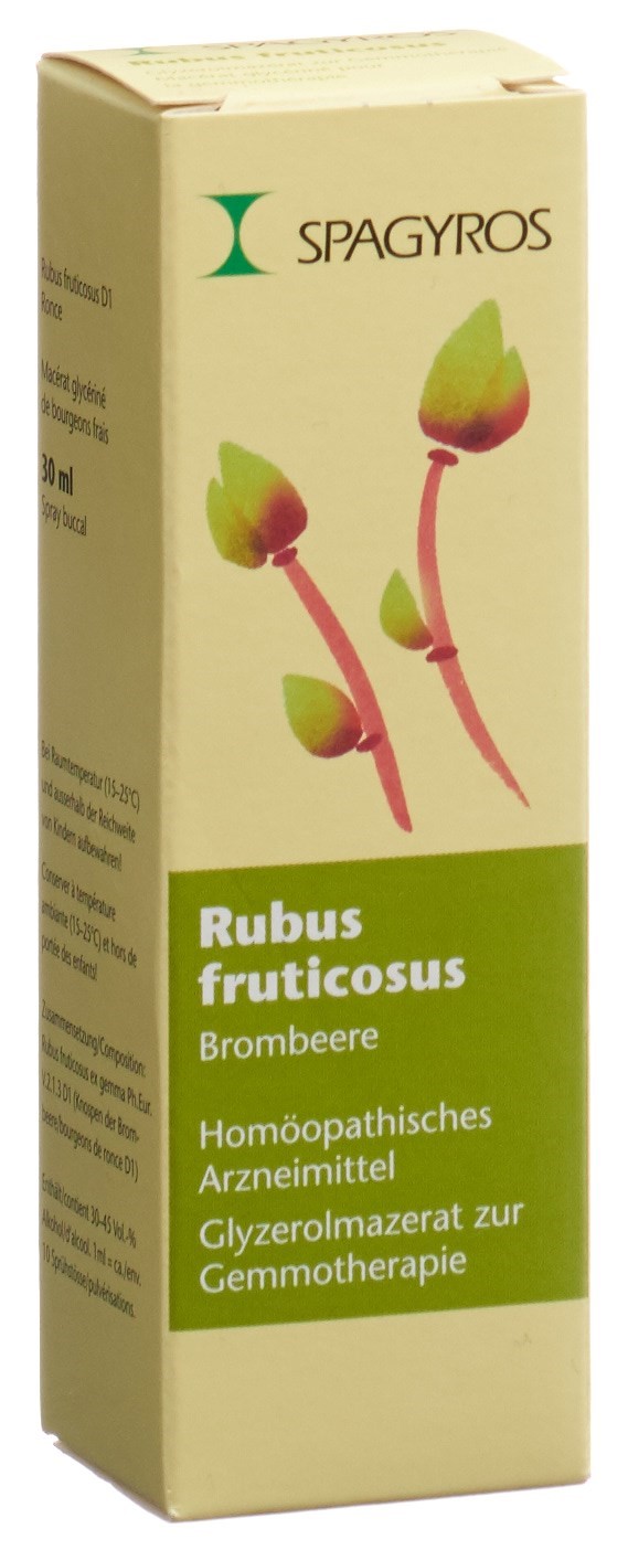 SPAGYROS GEMMO Rubus fruticos Glyc Maz D 1 30 ml