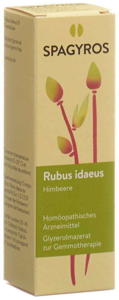 SPAGYROS GEMMO Rubus idaeus Glyc Maz D 1 30 ml