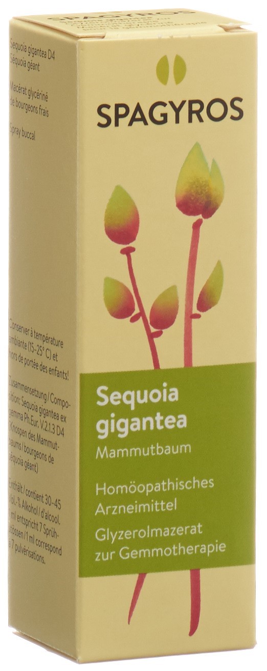 SPAGYROS GEMMO Sequoia gigant Glyc Maz D 4 30 ml