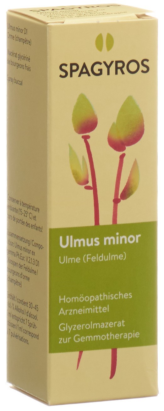 SPAGYROS GEMMO Ulmus minor Glyc Maz D 1 30 ml