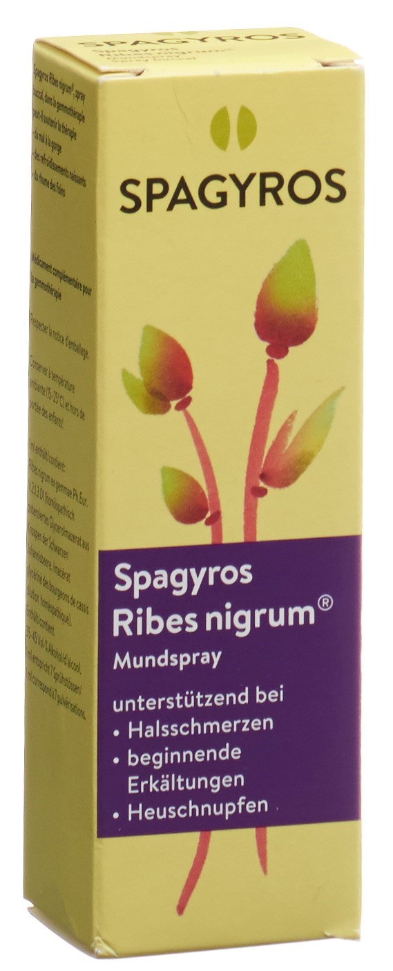 SPAGYROS Ribes nigrum Mundspray D 1 30 ml