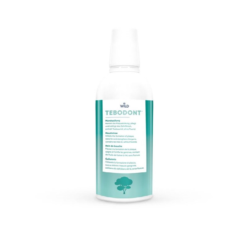 TEBODONT-F Mundspülung Petfl 500 ml