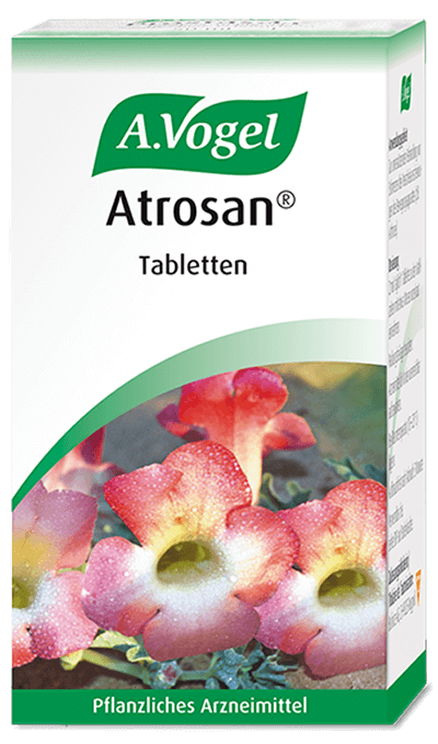 VOGEL Atrosan Teufelskrallen-Tabletten 60 Stk