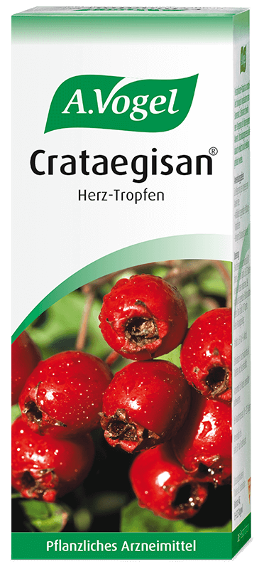 VOGEL Crataegisan Tropfen Fl 100 ml
